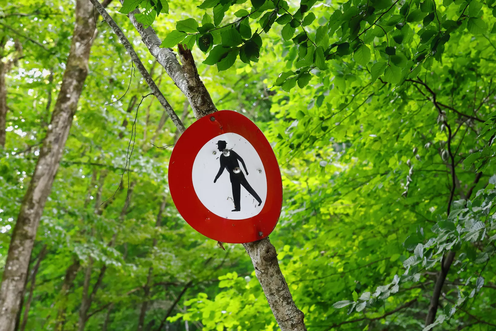Panneau rond d'interdiction avec la silhouette d'un homme au chapeau, fixé à un arbre en pleine forêt.