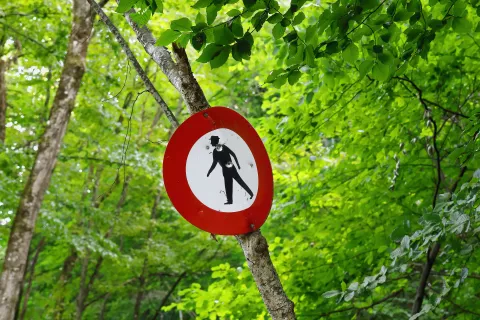 Panneau rond d'interdiction avec la silhouette d'un homme au chapeau, fixé à un arbre en pleine forêt.
